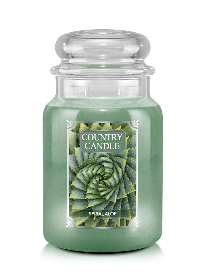 Spiral Aloe | Soy Candle - Kringle Candle Israel