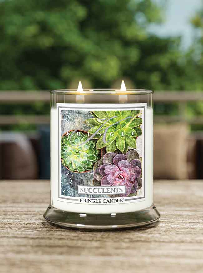 Succulents Medium Jar | Soy Candle