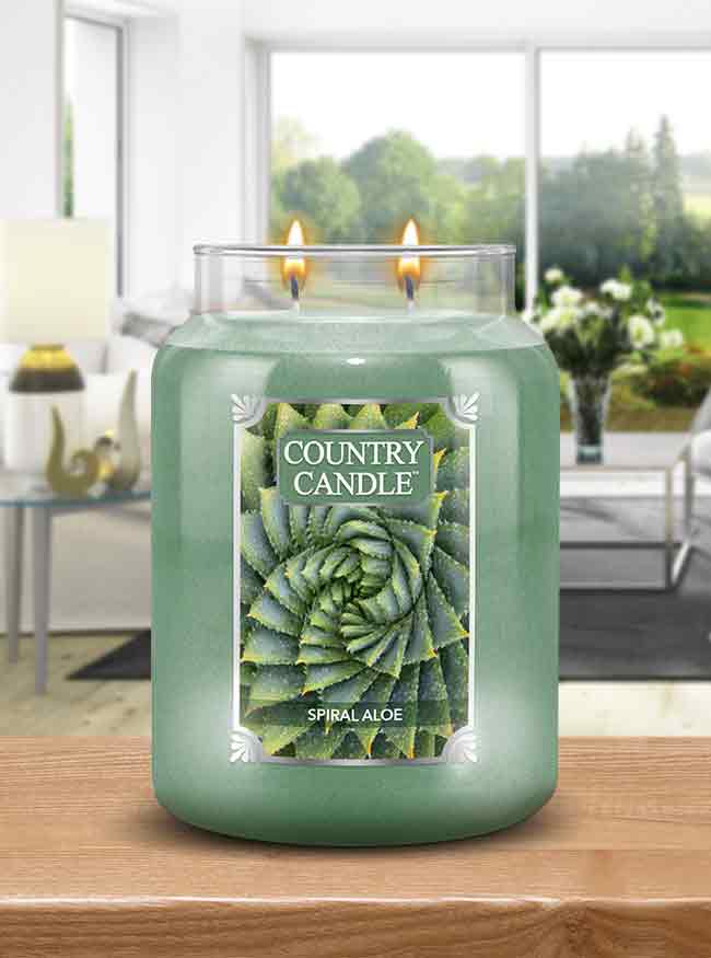 Spiral Aloe | Soy Candle - Kringle Candle Israel