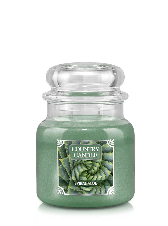 Spiral Aloe Medium Jar | Soy Candle