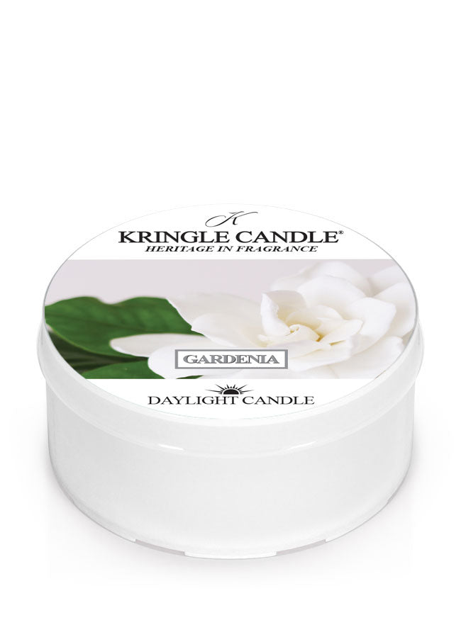 Gardenia NEW! | DayLight - Kringle Candle Israel