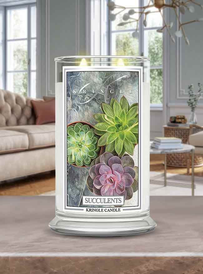 Succulents| Soy Candle - Kringle Candle Israel